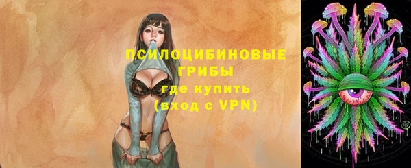 прущий лед Надым