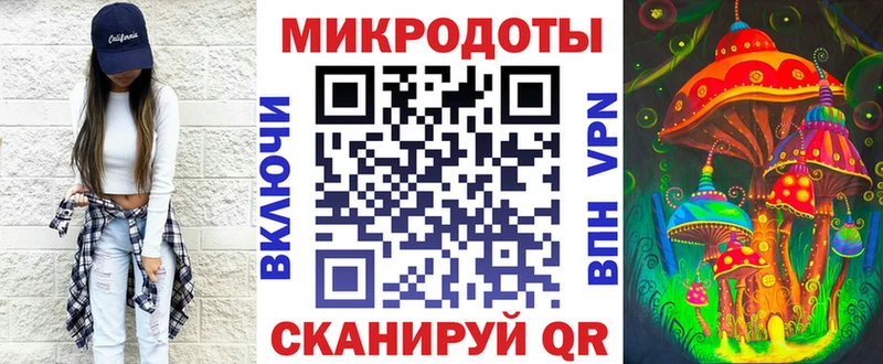 Галлюциногенные грибы Psilocybine cubensis где найти Микунь